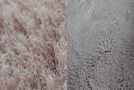 My carpet, actually quite fluffy, looks completely different this close up.