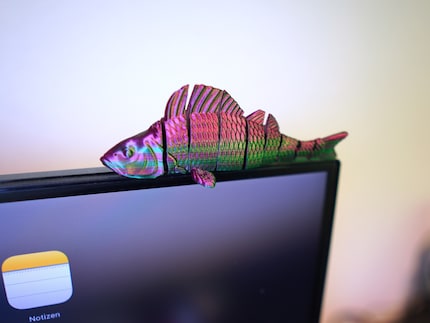 Fish decoration from the 3D printer – on sale at the Swiss sport fishing fair.