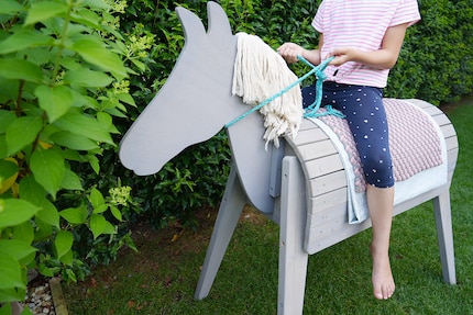 Mission failed: my daughter still wants a real horse.