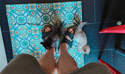 Step into the kitchen, your feet will be attacked. Period.
