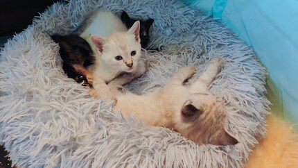 Always next to each other somehow. Or on top of each other.