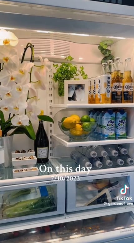 Influencerinnen wie Tiffany Bishop, Lynzi Judish und Eve Scampoli treiben Fridgescaping voran.