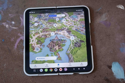 Das Disneyland kann ich auf dem grossen Bildschirm besser erkunden, trotz schwarzem Balken.
