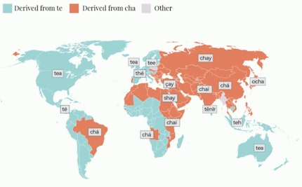 Whether it’s called «chai» or «tea» is determined by the original trading routes. 