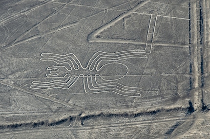 Diese bereits bekannte und gut sichtbare Spinne ist etwa 45 Meter lang.