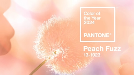 Pantone stellt jährlich die «Farbe des Jahres» vor. Für 2024 ist es «Peach Fuzz».