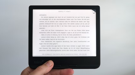 Auch im Querformat ist das Lesen auf dem Vision Color möglich.