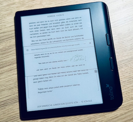 Notizen sind nur sichtbar, wenn du genau die Schriftgrösse verwendest, in der du sie gemacht hast.