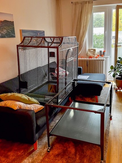 The cage consists of a bird house and a wheeled trolley complete with a tray for food, sand and other utensils.