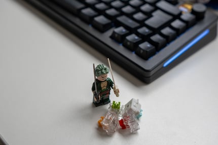 Auch Zoro ist von den Switches nicht überzeugt.