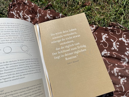 Zitate lockern die Tagebuchseiten zwischendrin auf und regen zum Nachdenken an.