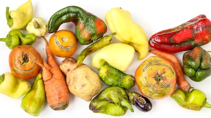 Die sichtbaren, vermeintlichen Makel von «Ugly Food» können auch ein Qualitätsmerkmal sein als Hinweis darauf, dass für ihre Produktion weniger Pestizide und ähnlich Schädliches zum Einsatz kam.