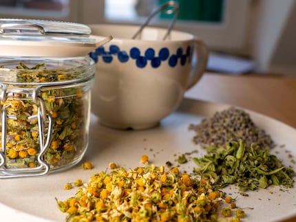 The yellow flowers of the camomile and the purple ones of the lavender create a wonderful play of colours.