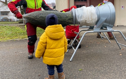 A Christmas tree to go, please.