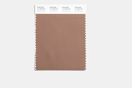 «Mocha Mousse»: die Pantone Farbe des Jahres 2025.