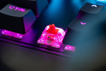 Die Omnipoint 3.0 Switches sind erstaunlich geschmeidig.