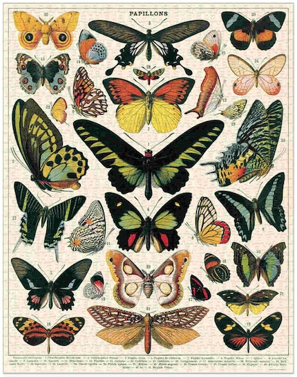 A retro illustration-style butterfly puzzle. 