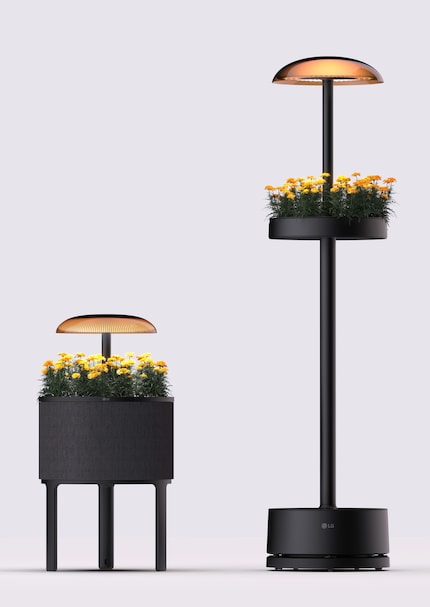 LG has presented two variants of the green lamp.