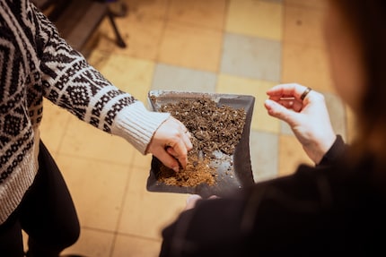 Feey’s substrate is also different from soil you’ll find at your local DIY store.