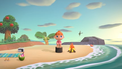 Ein neues «Animal Crossing» als ständiger Begleiter auf meiner Switch 2 wäre toll.