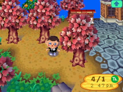 Nostalgie pur: «Animal Crossing: Wild World» auf dem Nintendo DS.