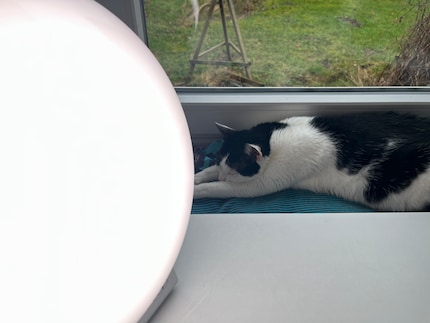 Wie auf der Sonnenbank …