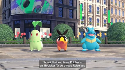 I'm wavering between Chikorita (left) and Totodile (right). But Tepig (centre) is also pretty cute.
