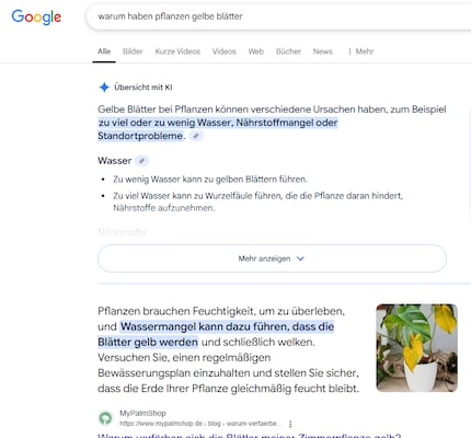Search result for a query on plant care: The AI overview is displayed at the top, with the normal search results with relevant websites below.