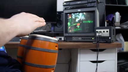 Die DK Kongos wurden für spezielle Spiele entwickelt, geniessen aber darüber hinaus eine skurrile Beliebtheit.