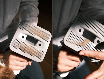 Die Bürste zieht lose Haare aus dem Fell, beim Absaugen musst du manchmal etwas nachhelfen.