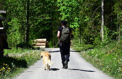 In der Sonne ist es brütend heiss. Livia und Kaya laufen schnurstracks in Richtung Wald.