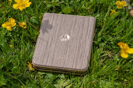 Fast schon ein Stück Natur: die Rückseite des Motorola Razr 60 Ultra.