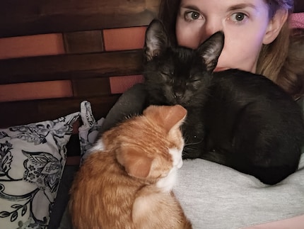 Wenn Bonnie und Balu sich an mich kuscheln, bin ich mit der Welt im Reinen.