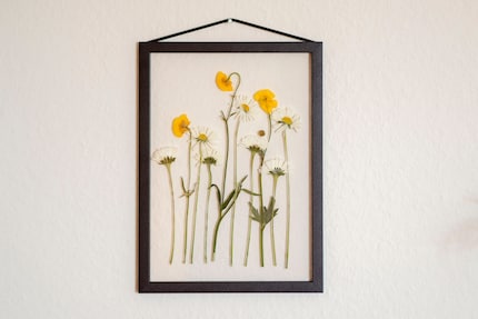 Ich habe den Sommer eingefangen und an der Wand verewigt.