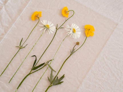 Beim Arrangieren können die Blumen schnell aus der Position geraten.