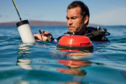 Die Boje verspricht bessere Orientierung unter Wasser und ein Nachverfolgen des Tauchgangs in der App.