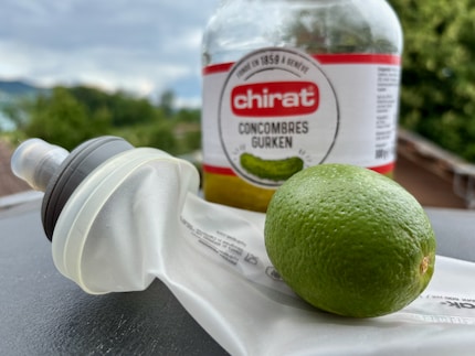 Sollen saure Gurken und Limettensaft in meine Flask?