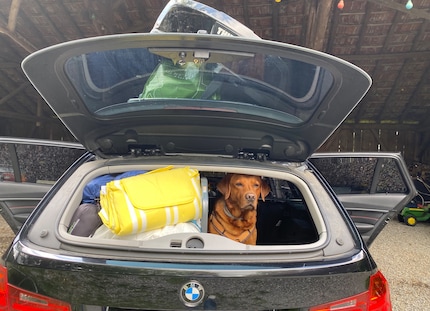 ... und mit Kind, Kegel und Hund geht die Reise los.