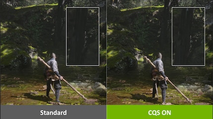 CQS soll unter anderem für weniger matschige Texturen in den Schatten sorgen. Das ist auf diesem Vergleichsbild kaum erkennbar. Live sehe ich den Unterschied, er ist aber subtil.