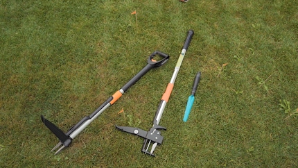 Das Testfeld: Unkraut-Ausstecher von Fiskars, Siena Garden und Gardena (von links nach rechts).