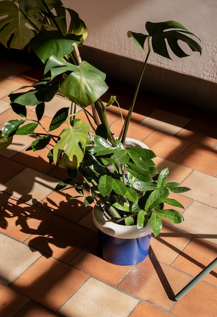 Think about it: A plant pot that already comes with a matching planter.
