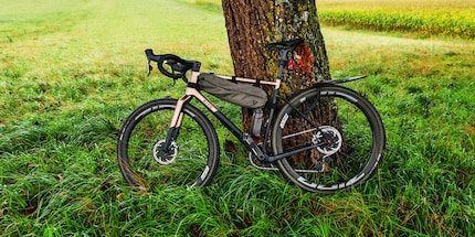 Der Wolf unter den Gravelreifen von Zleen am neuen Racebike von Bixs.