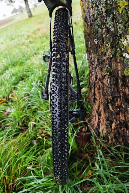 Das Profil des Wolf Pro Tubeless von Zleen.