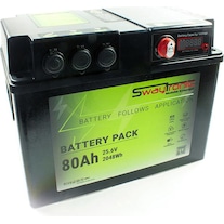 Swaytronic Battery Pack 80Ah 25.6V (25.60 V, 80 Ah)