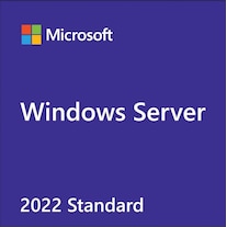 Microsoft Windows Server 2022 Standard (1 x, Unlimited)