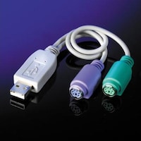 Roline USB 2.0 zu PS/2