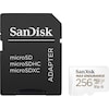 SanDisk Max Endurance (microSD, 256 GB, U3, UHS-I)