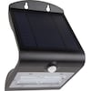 REV Solar LED Butterfly with motion detector