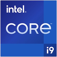 Intel Core i9-12900K (LGA 1700, 3.20 GHz, 16 -Core)