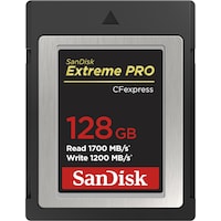 SanDisk Extreme Pro Type B (CFexpress type B, 128 GB)